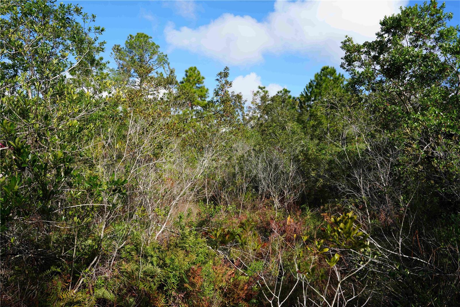 OBERLY PKWY, ORLANDO, FL, 32833