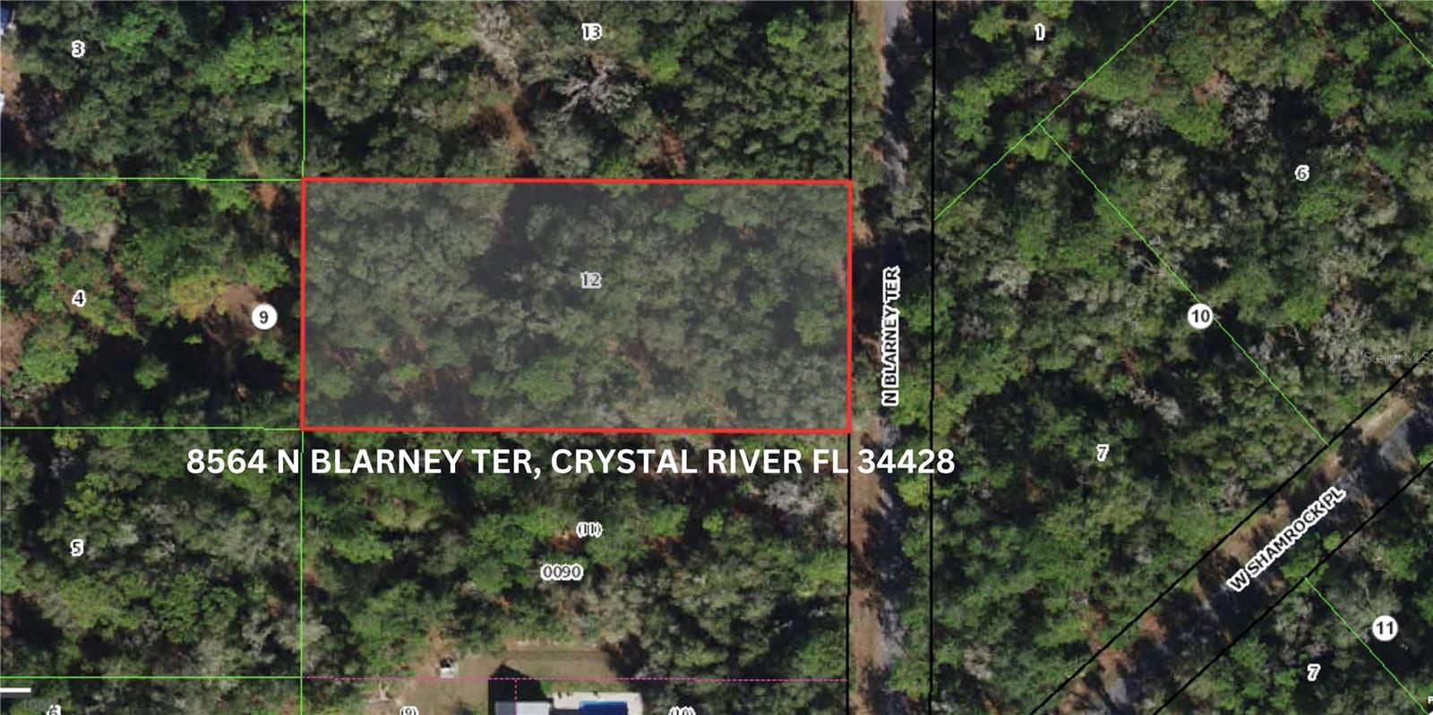 8564 N BLARNEY TER, CRYSTAL RIVER, FL, 34428