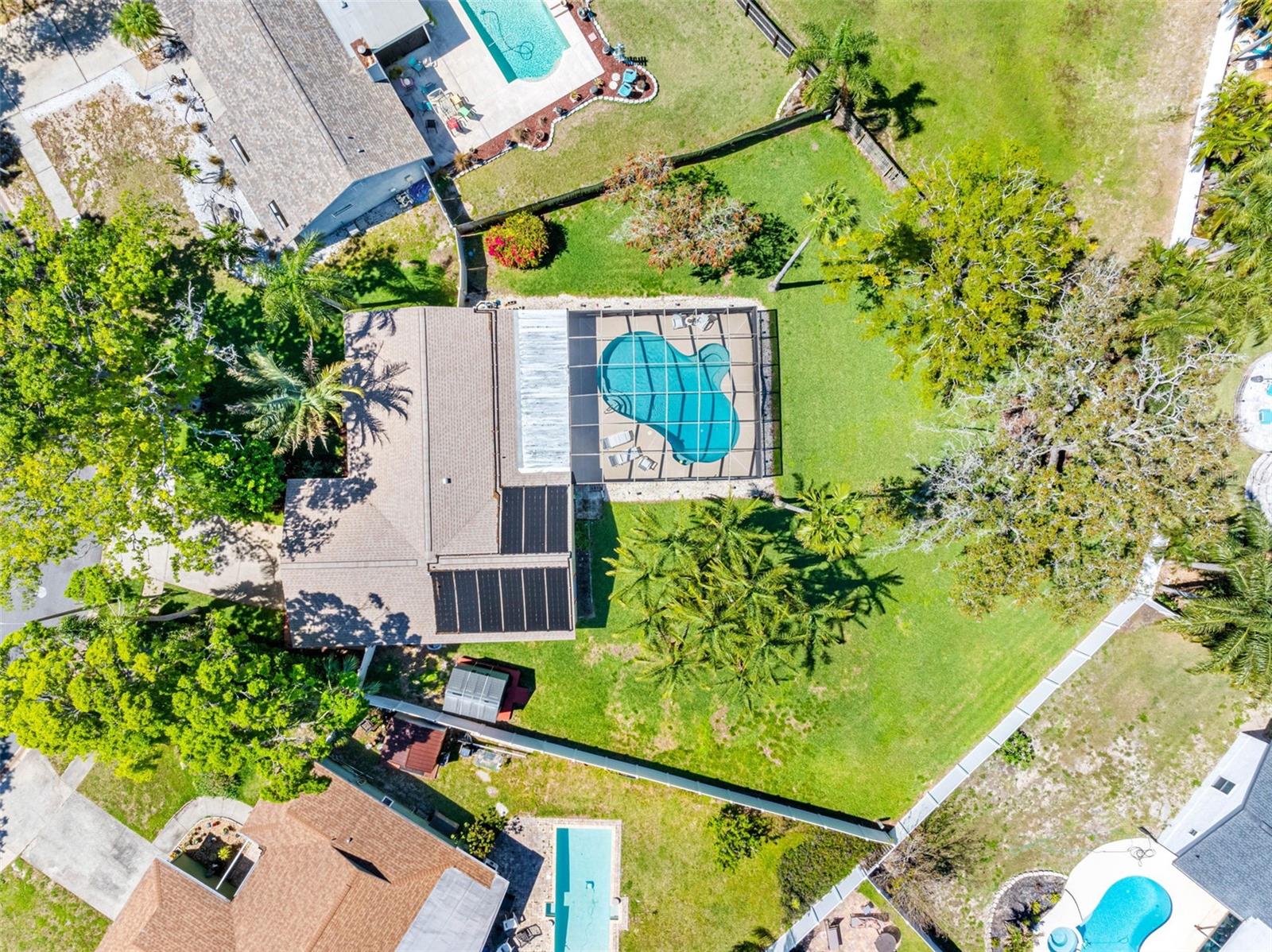1581 N WEXFORD DR, PALM HARBOR, FL, 34683