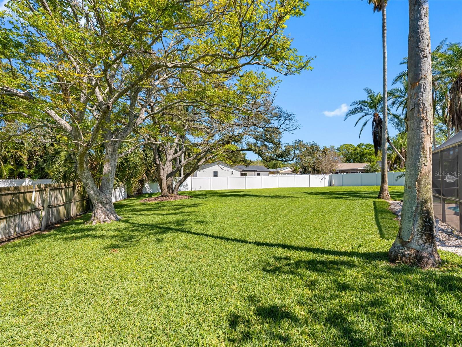 1581 N WEXFORD DR, PALM HARBOR, FL, 34683