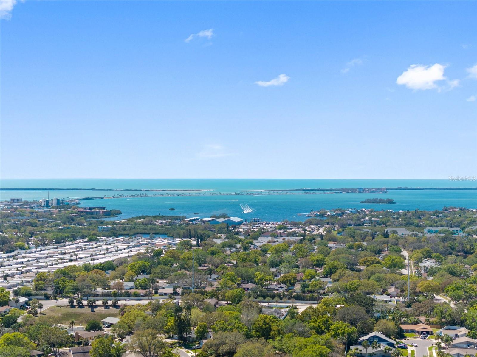 1581 N WEXFORD DR, PALM HARBOR, FL, 34683