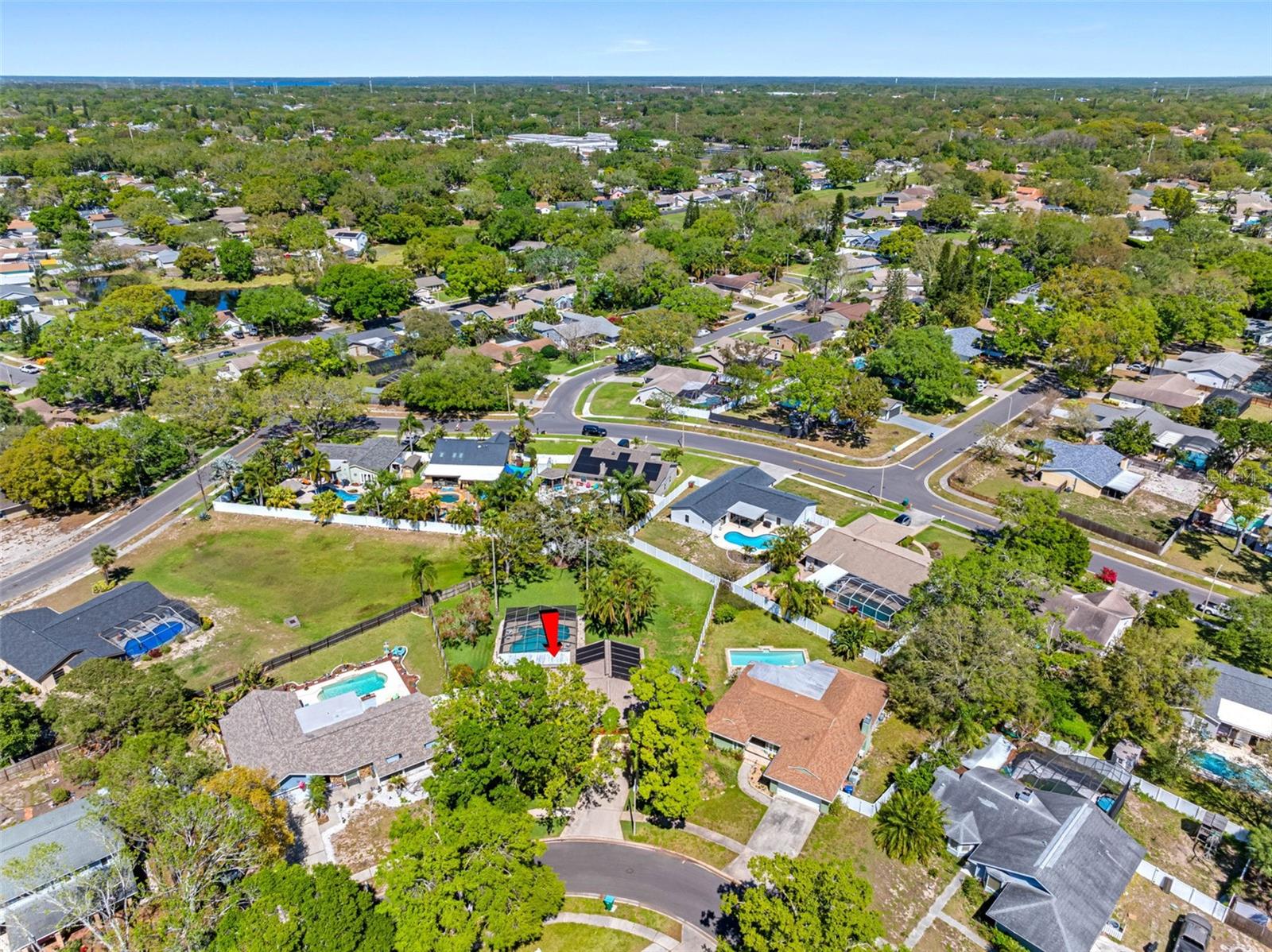 1581 N WEXFORD DR, PALM HARBOR, FL, 34683