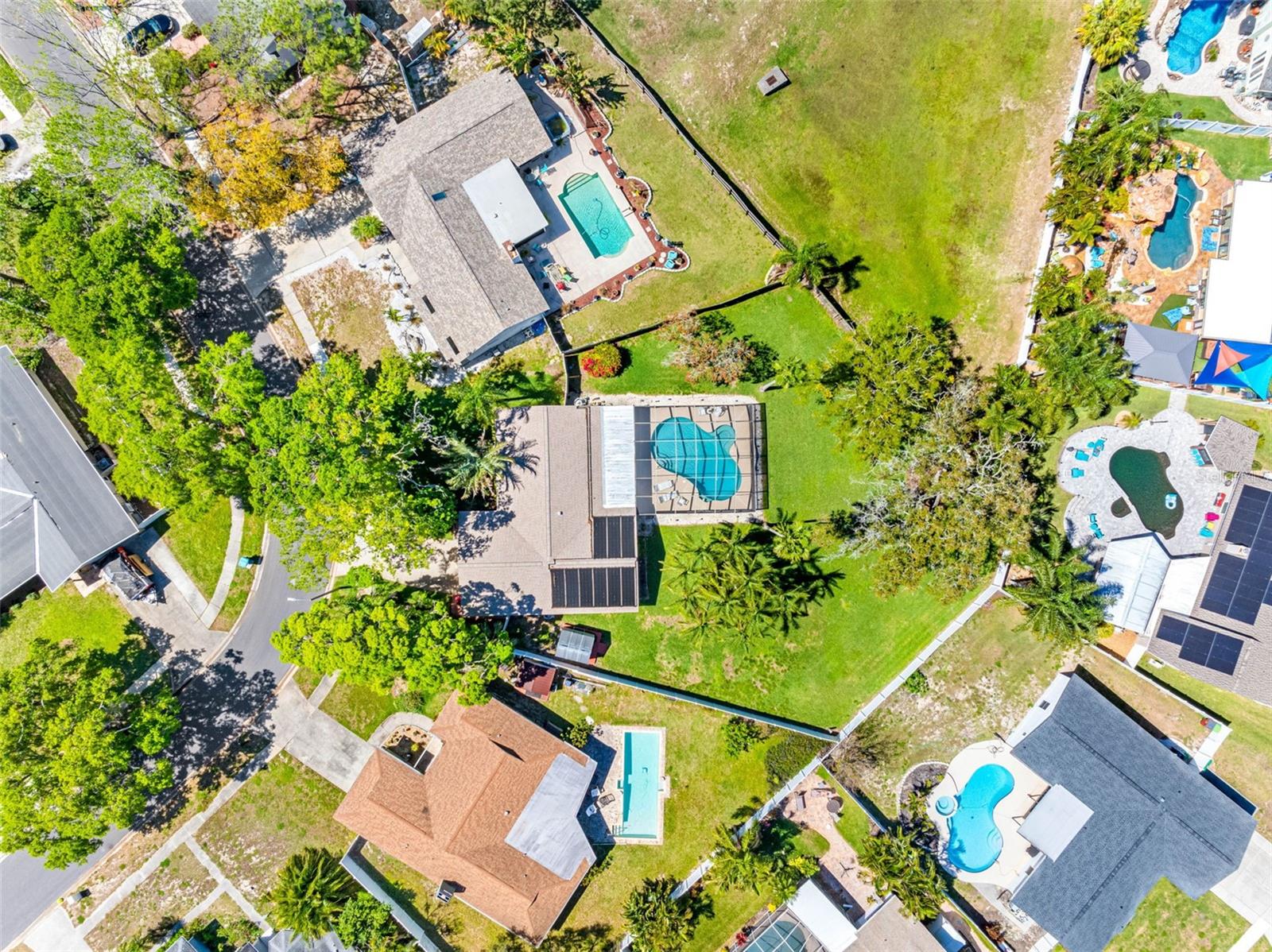 1581 N WEXFORD DR, PALM HARBOR, FL, 34683