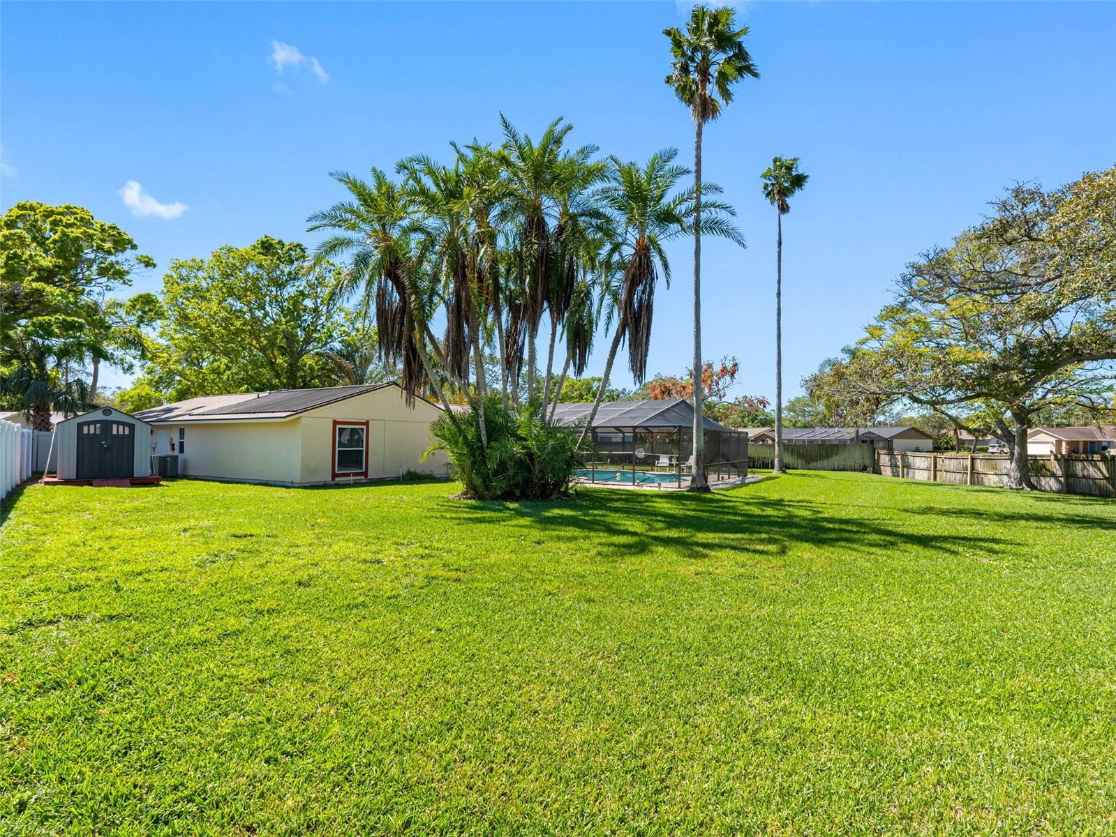 1581 N WEXFORD DR, PALM HARBOR, FL, 34683