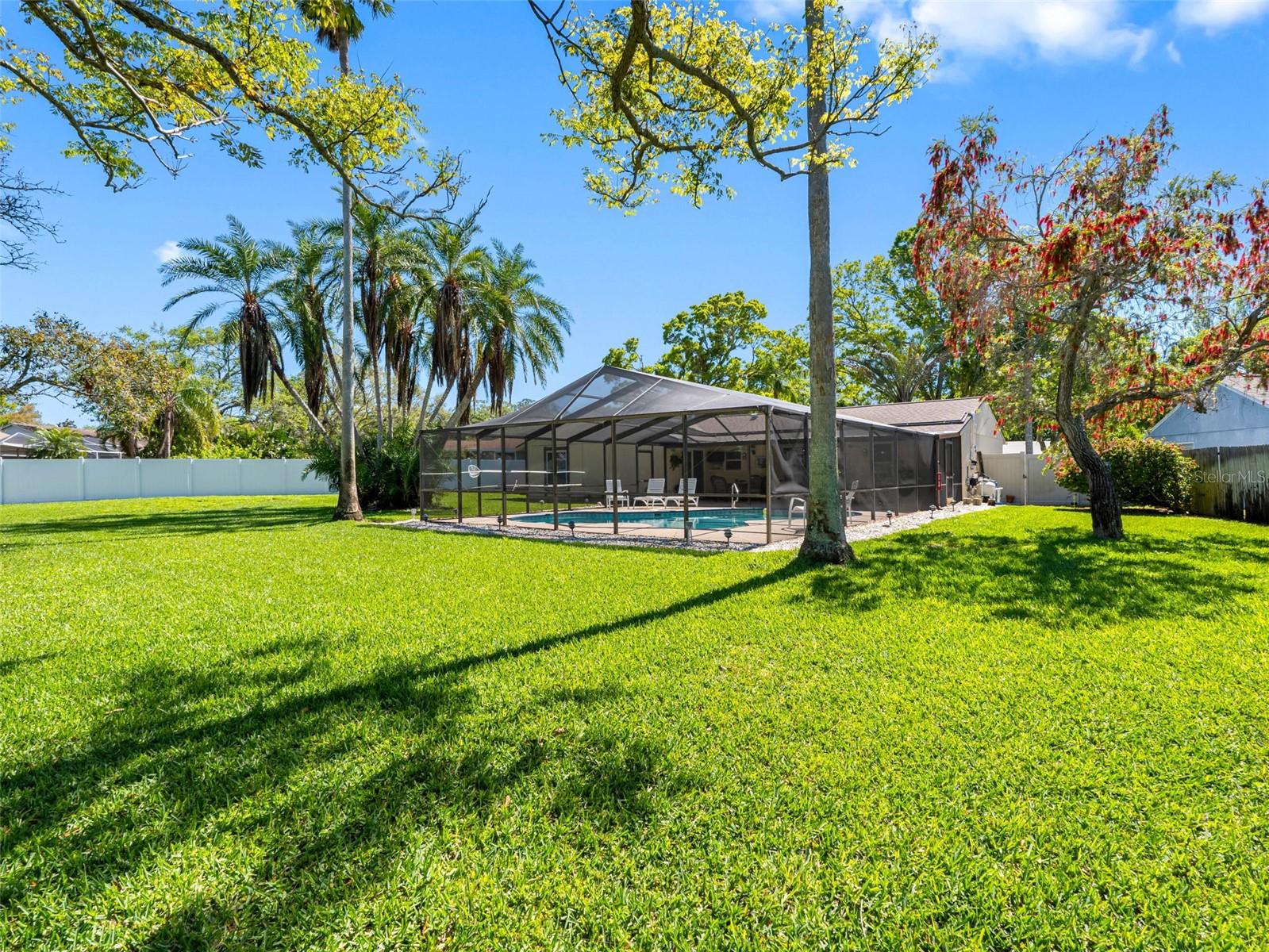 1581 N WEXFORD DR, PALM HARBOR, FL, 34683