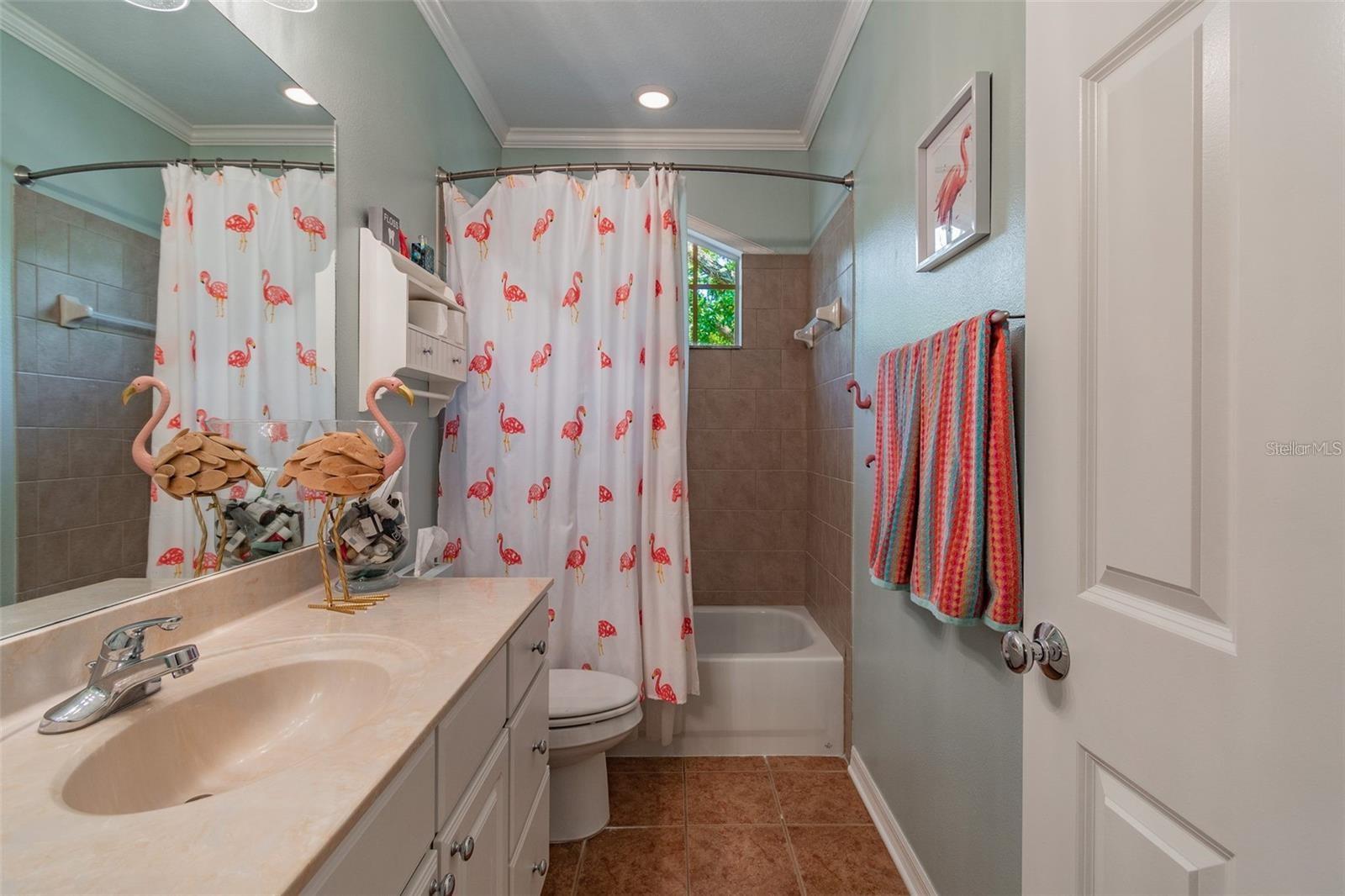 6201 S ELBERON ST, TAMPA, FL, 33611