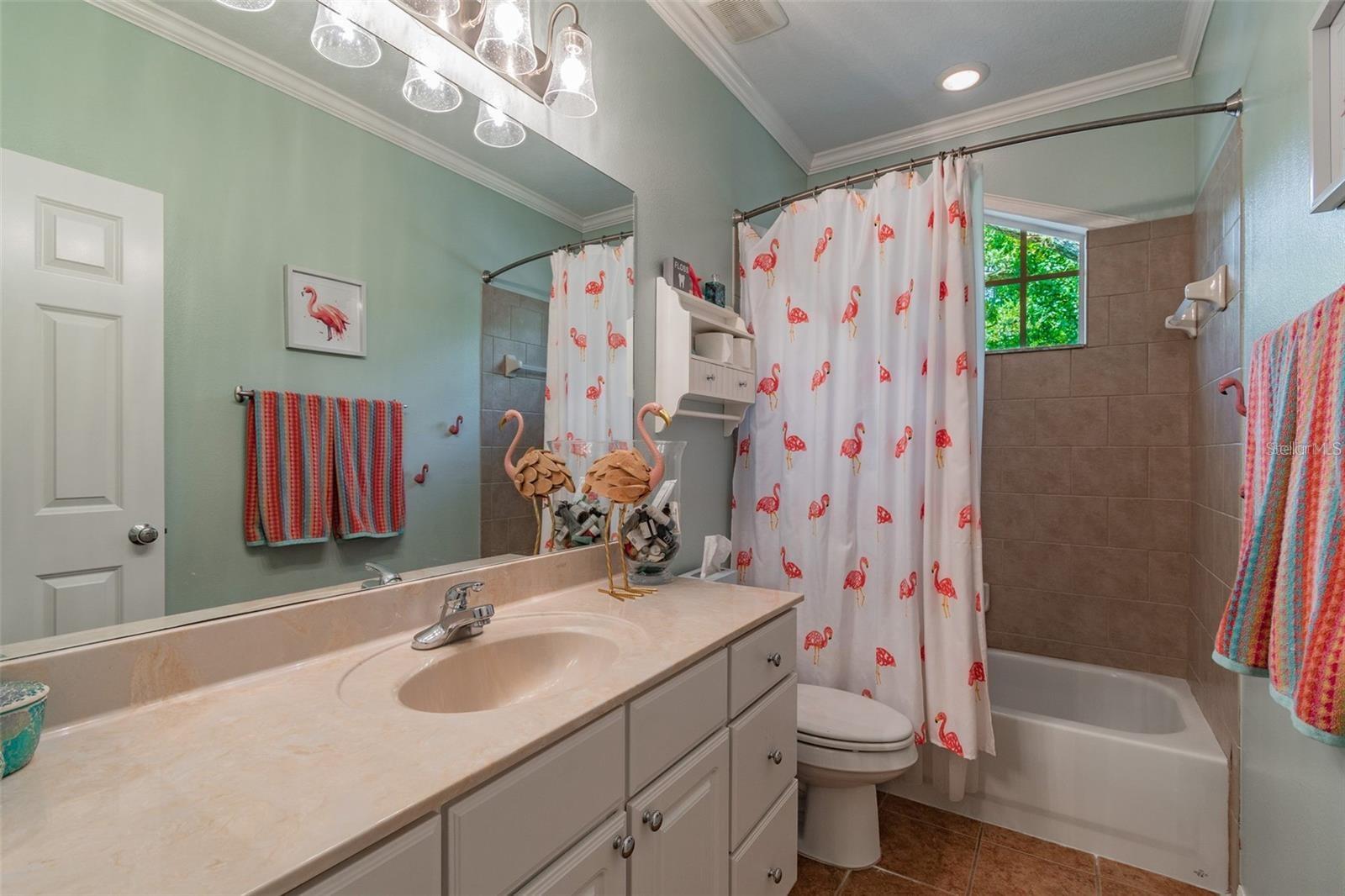 6201 S ELBERON ST, TAMPA, FL, 33611