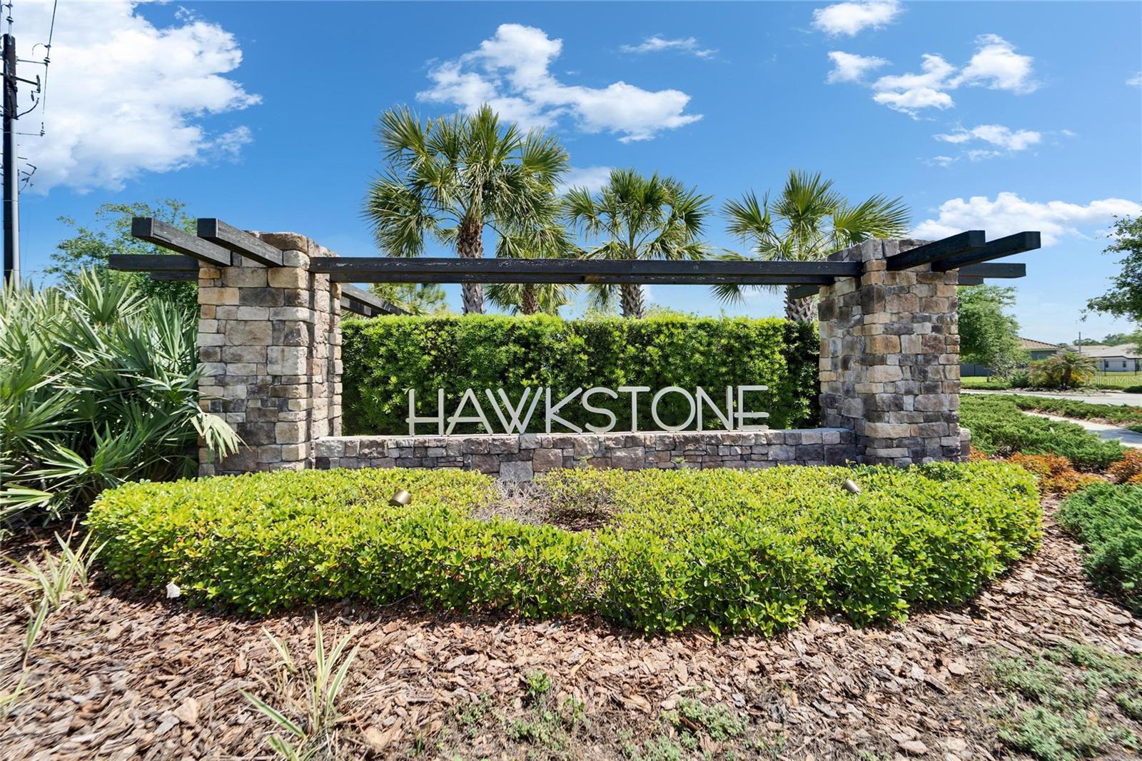 14239 SWISS BRIDGE DR, RIVERVIEW, FL, 33579