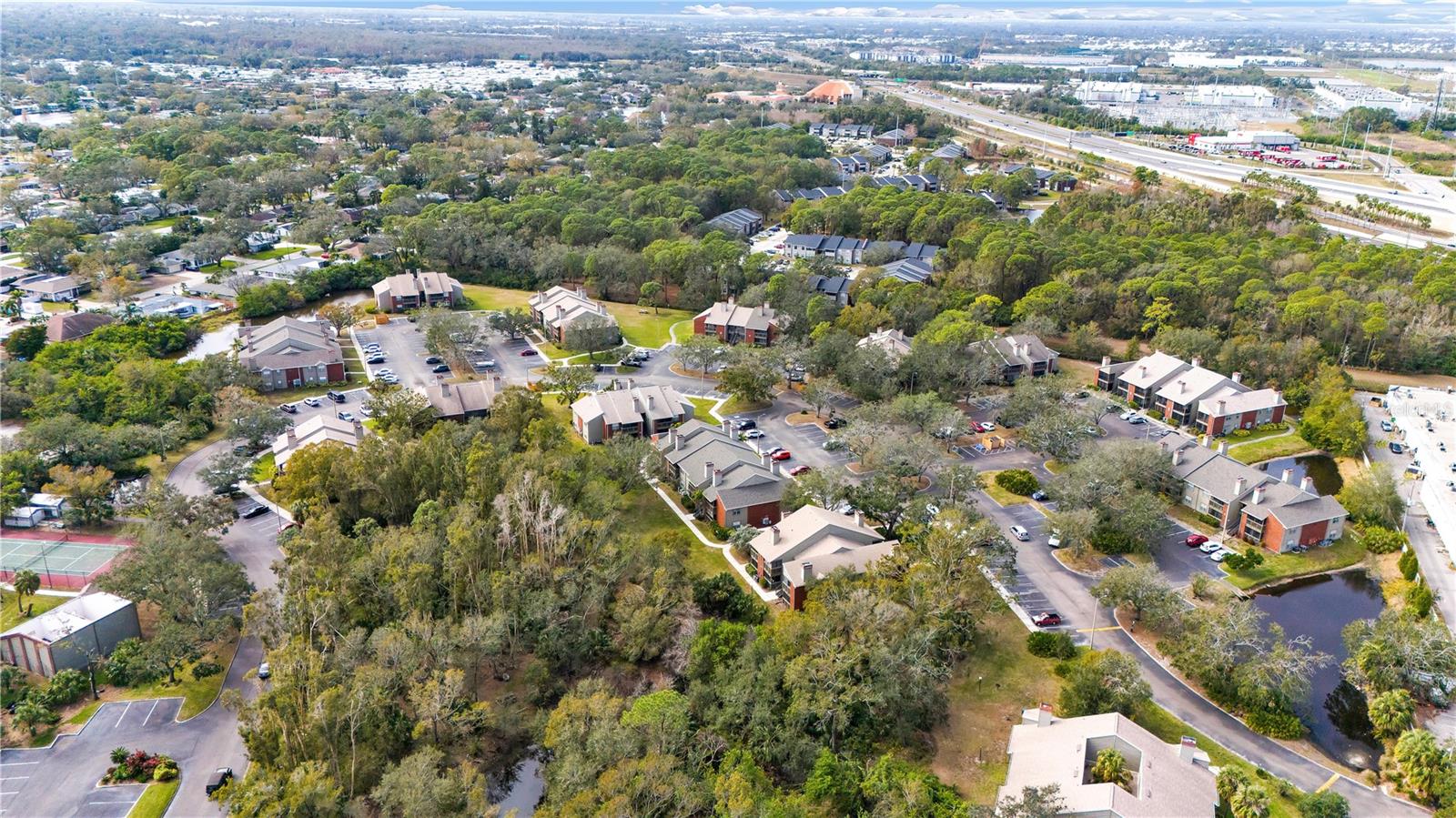 9100 DR MARTIN LUTHER KING JR ST N #205, ST PETERSBURG, FL, 33702