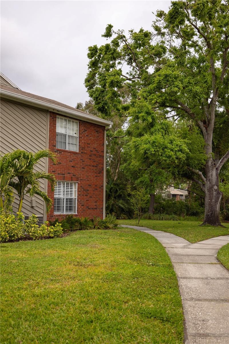 9100 DR MARTIN LUTHER KING JR ST N #205, ST PETERSBURG, FL, 33702