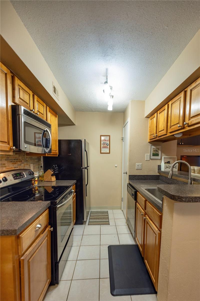 9100 DR MARTIN LUTHER KING JR ST N #205, ST PETERSBURG, FL, 33702