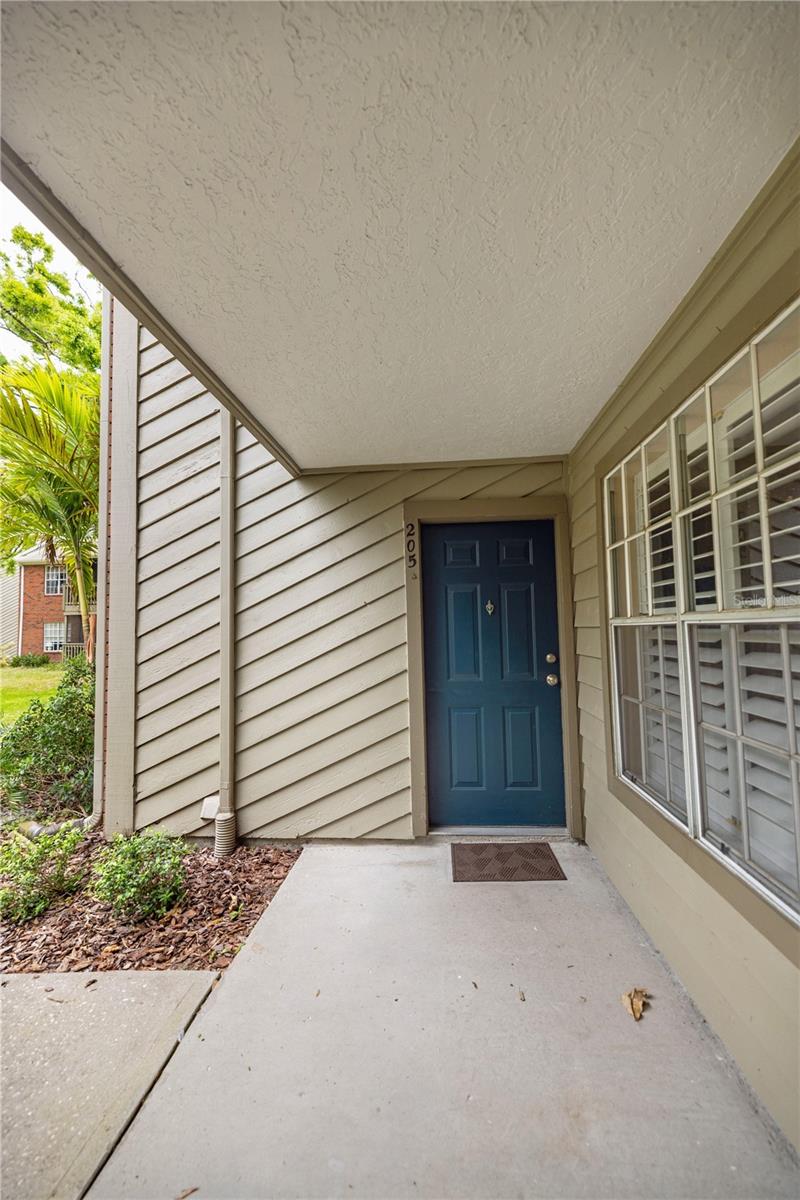 9100 DR MARTIN LUTHER KING JR ST N #205, ST PETERSBURG, FL, 33702