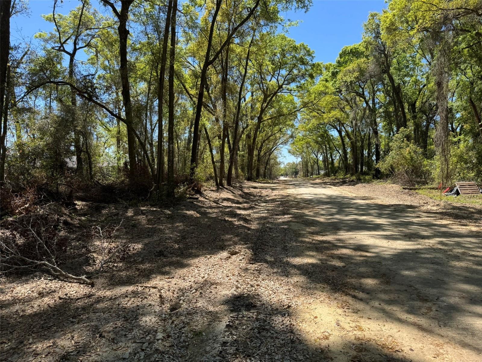 Lot 25,26 SW 177TH CT, DUNNELLON, FL, 34432