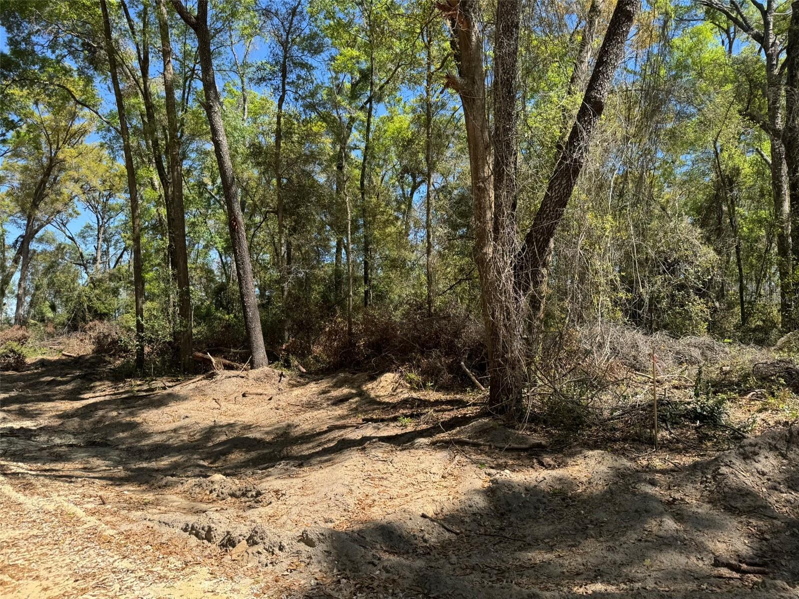 Lot 25,26 SW 177TH CT, DUNNELLON, FL, 34432