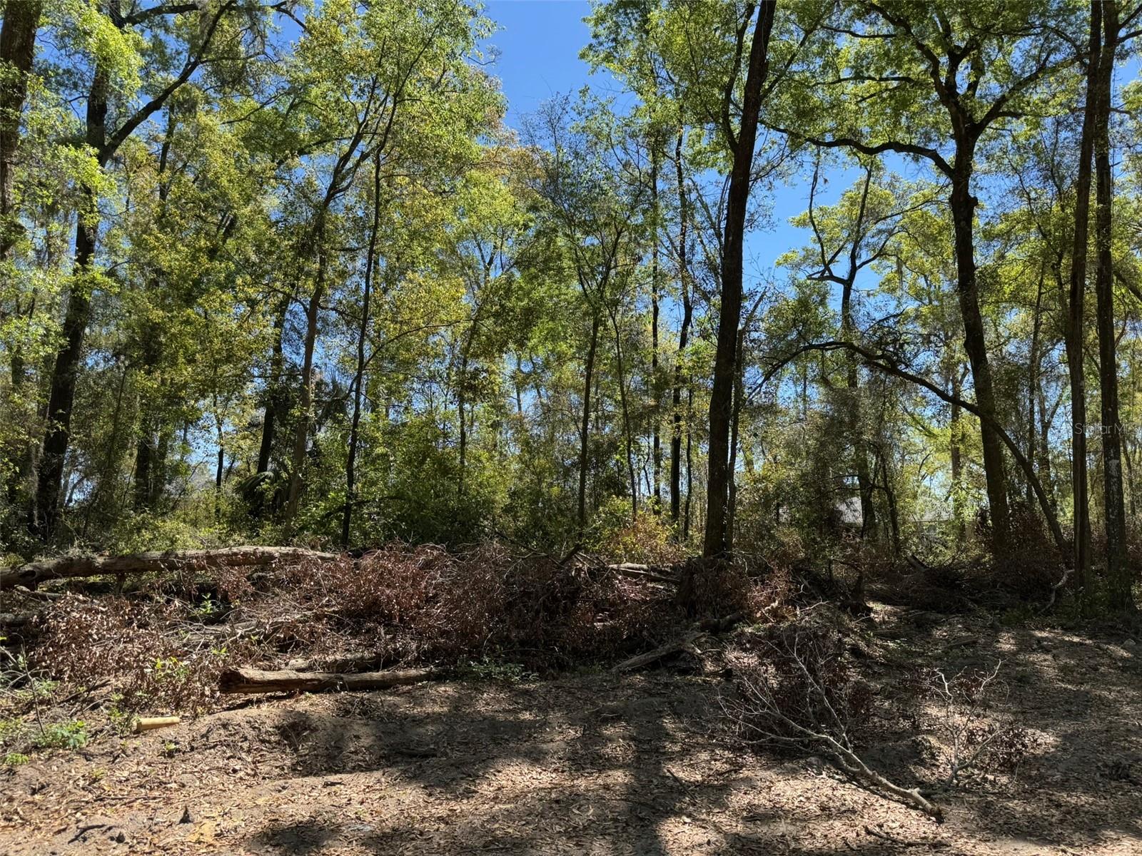 Lot 25,26 SW 177TH CT, DUNNELLON, FL, 34432