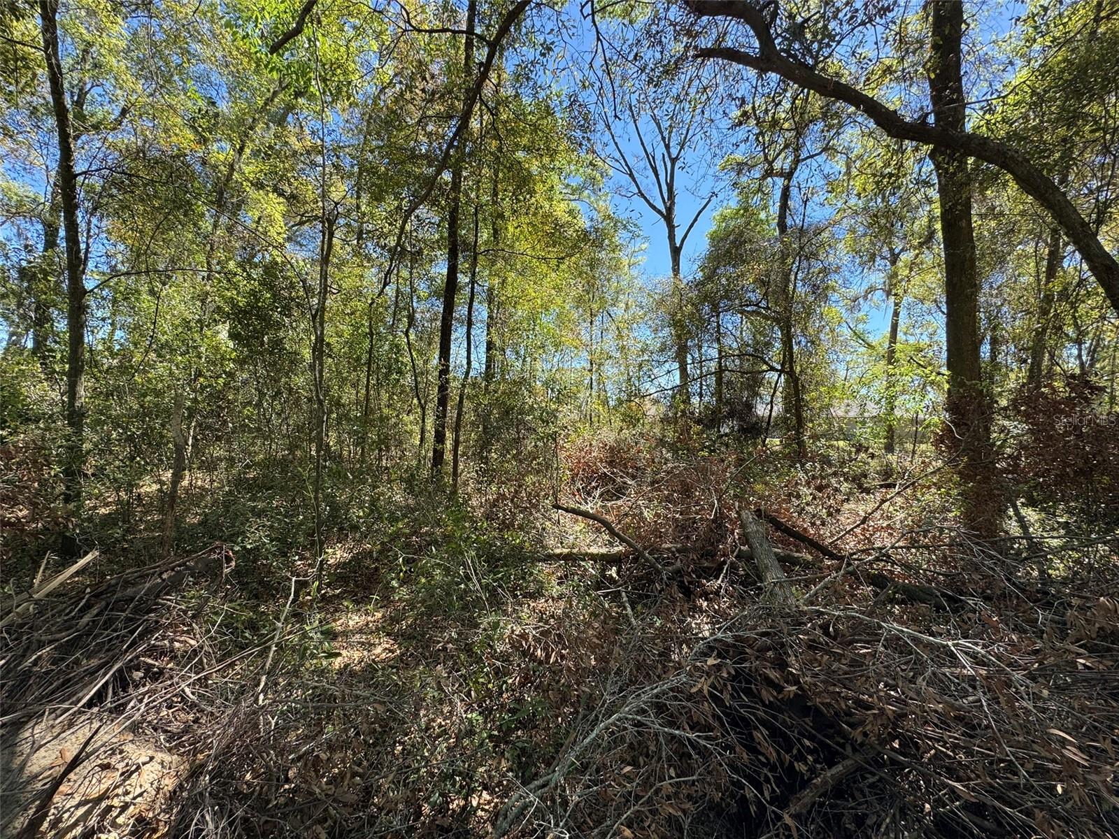 Lot 25,26 SW 177TH CT, DUNNELLON, FL, 34432