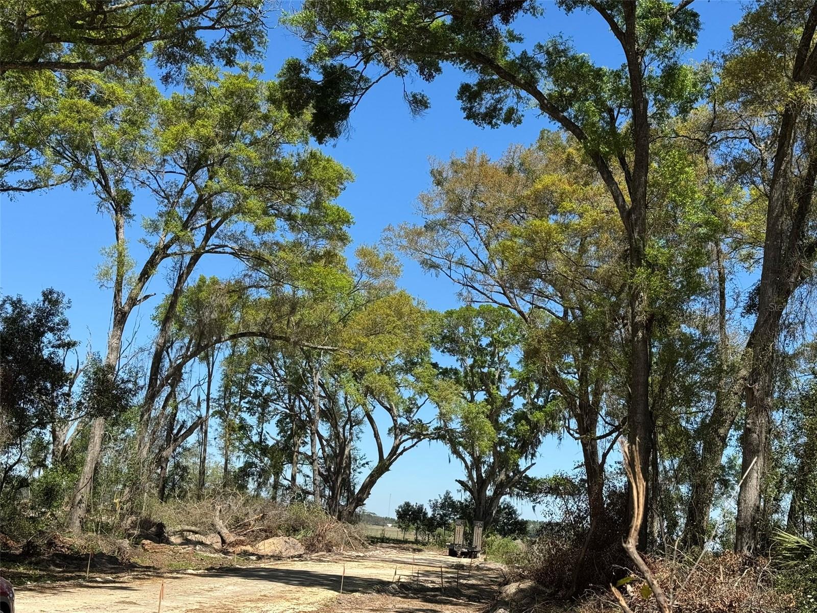 Lot 25,26 SW 177TH CT, DUNNELLON, FL, 34432