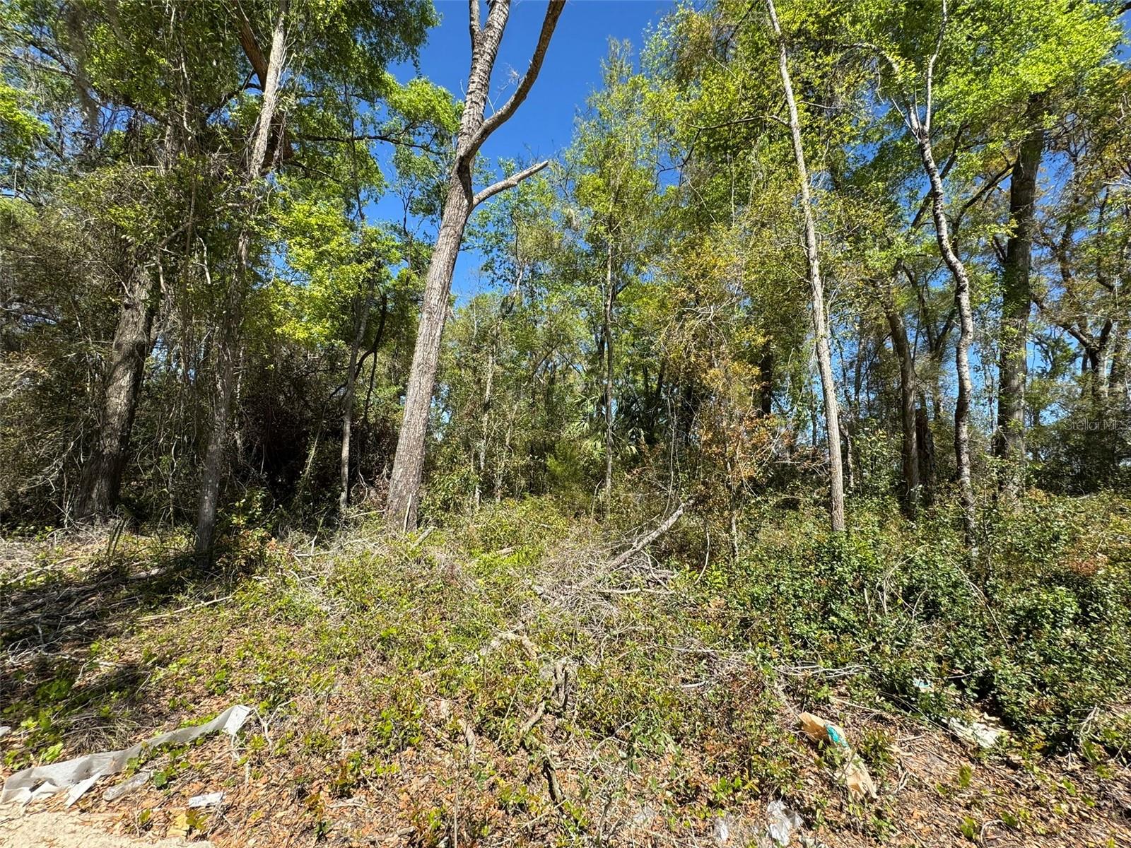 Lot 25,26 SW 177TH CT, DUNNELLON, FL, 34432