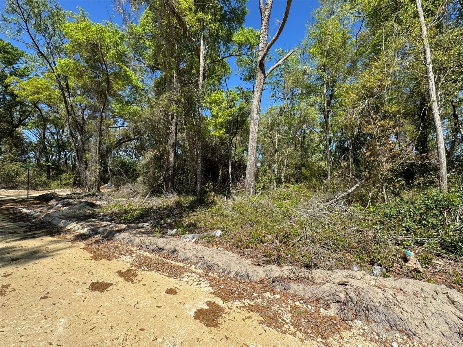 Lot 25,26 SW 177TH CT, DUNNELLON, FL, 34432