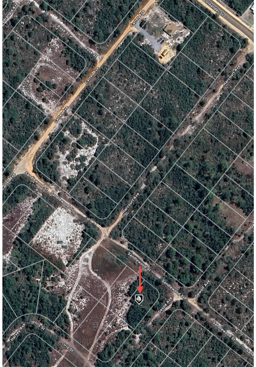 1214 SANDLEWOOD ST, LAKE PLACID, FL, 33852