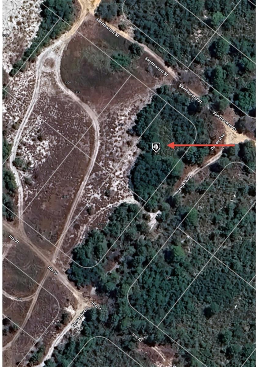 1214 SANDLEWOOD ST, LAKE PLACID, FL, 33852