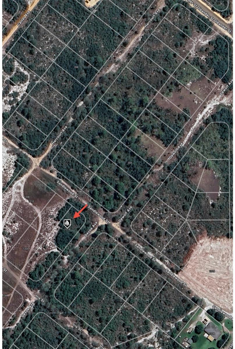 1214 SANDLEWOOD ST, LAKE PLACID, FL, 33852