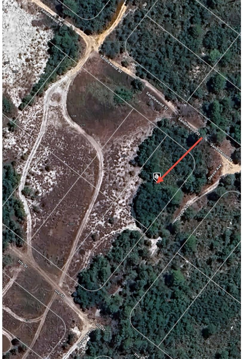 1214 SANDLEWOOD ST, LAKE PLACID, FL, 33852