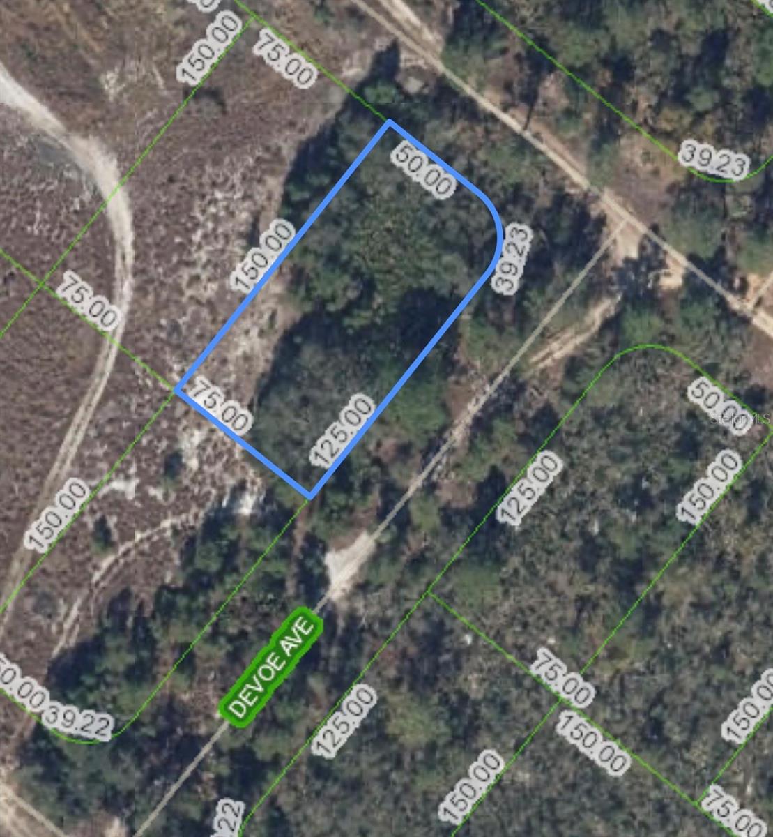 1214 SANDLEWOOD ST, LAKE PLACID, FL, 33852