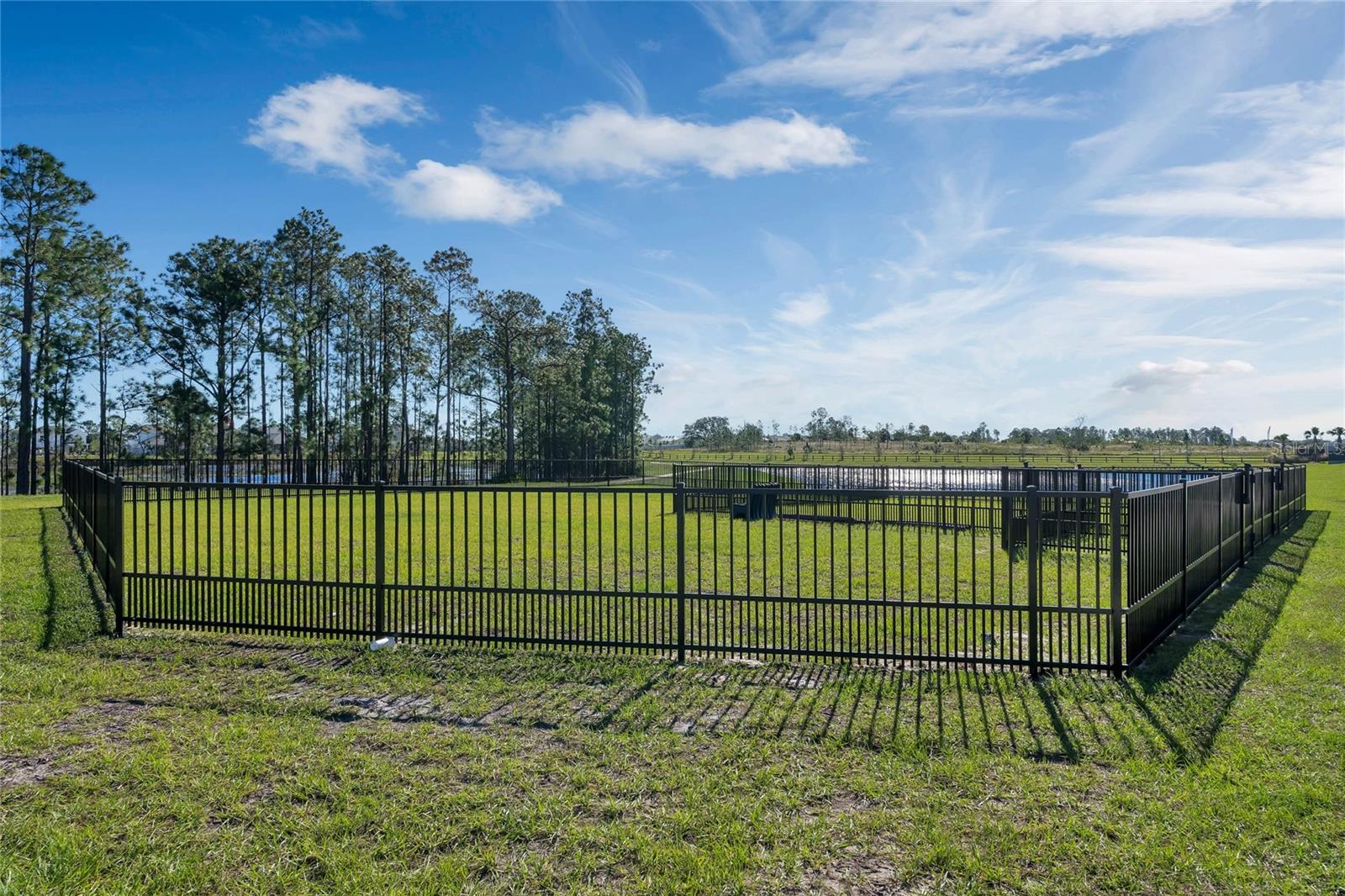 13817 LUNA HARVEST AVE, WINTER GARDEN, FL, 34787