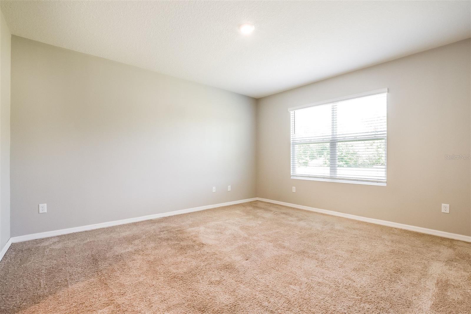 3281 LOGAN BERRY DR, MOUNT DORA, FL, 32757