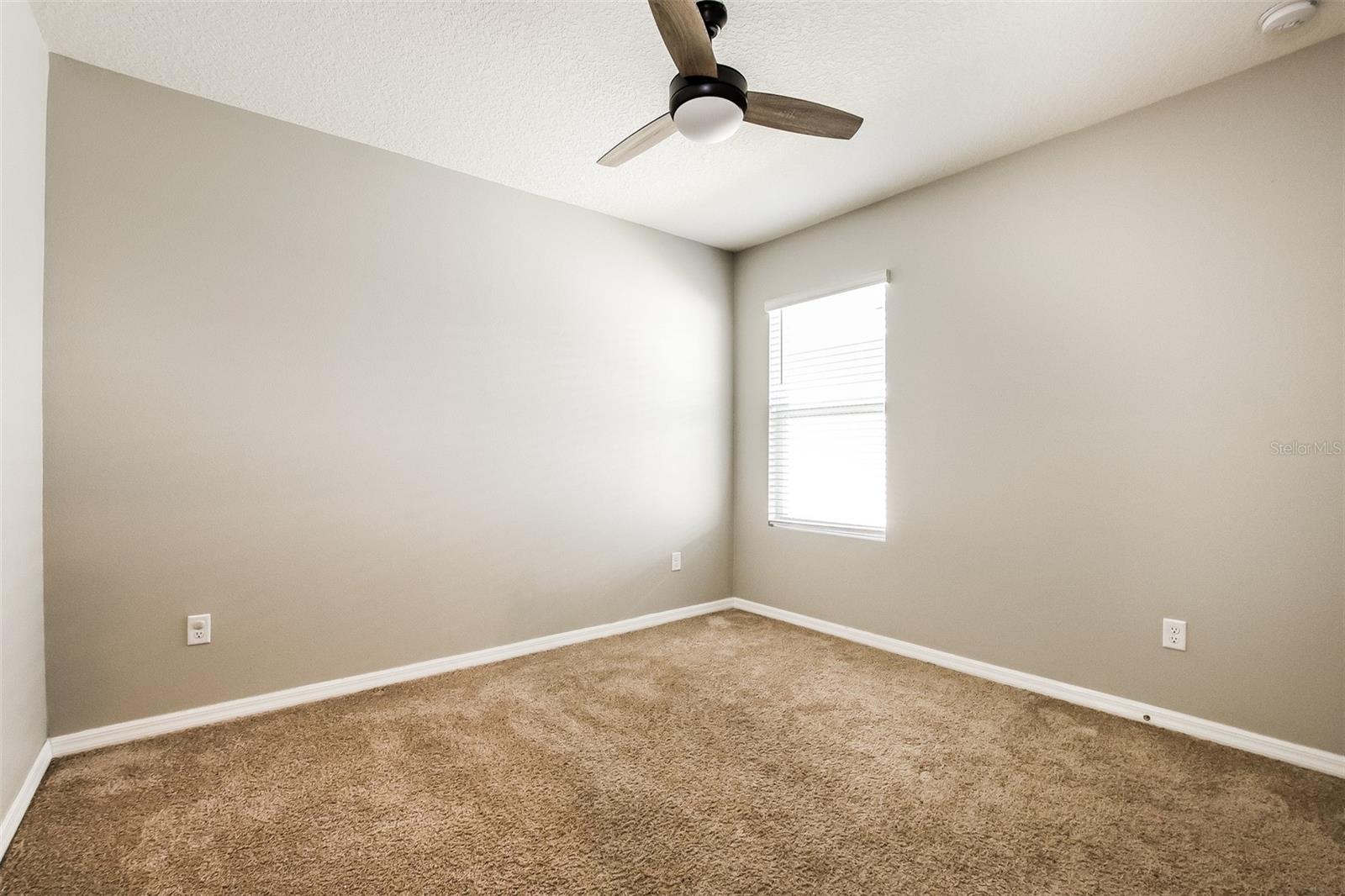 3281 LOGAN BERRY DR, MOUNT DORA, FL, 32757