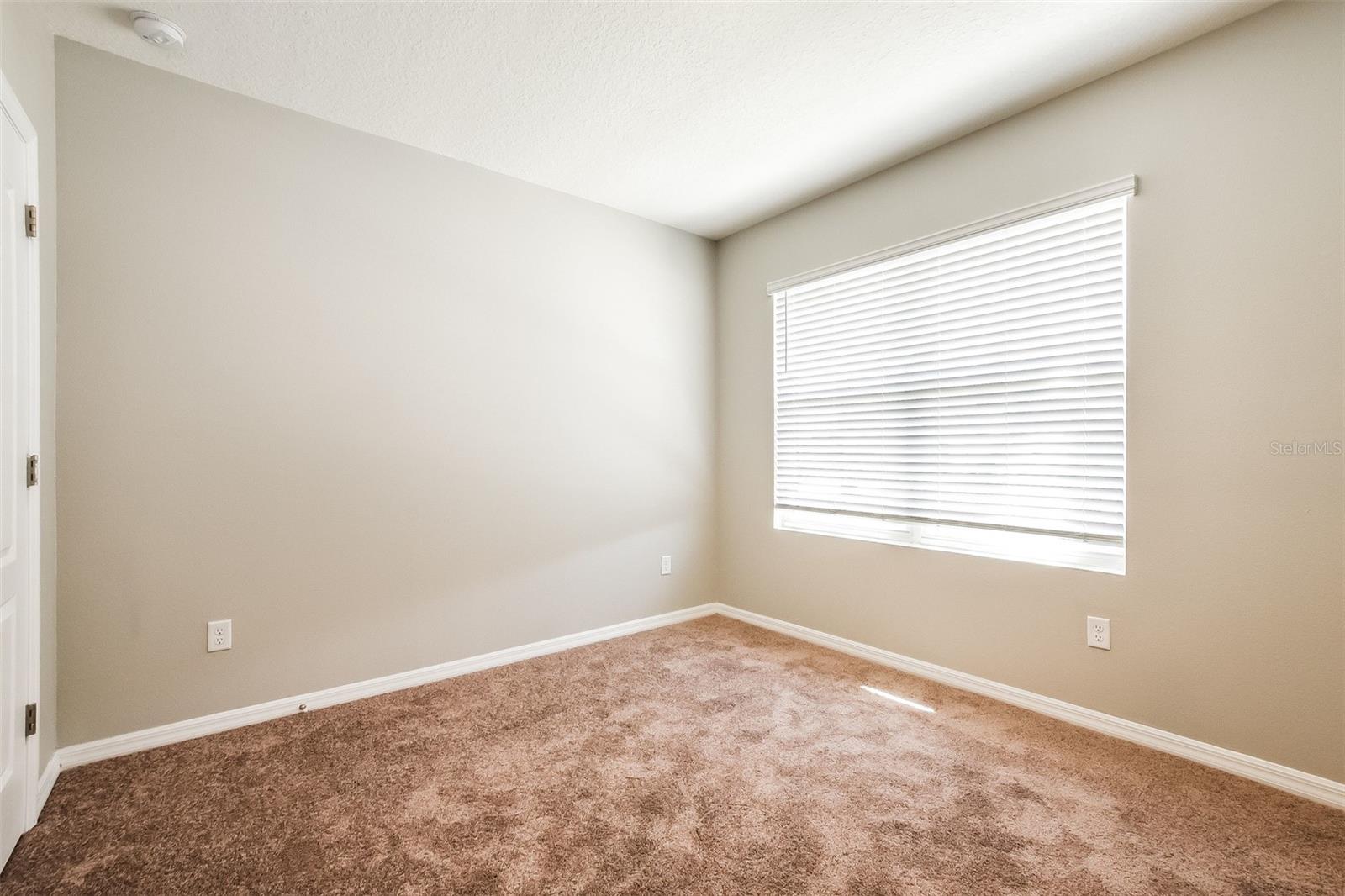 3281 LOGAN BERRY DR, MOUNT DORA, FL, 32757