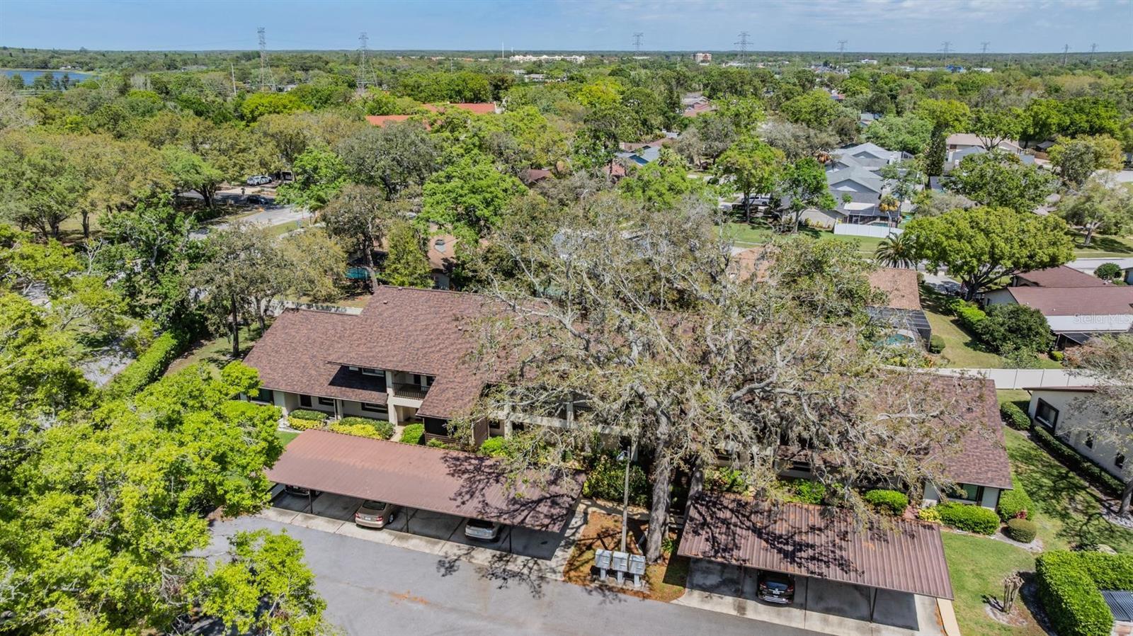 3610 MAGNOLIA RIDGE CIR #1322/H, PALM HARBOR, FL, 34684