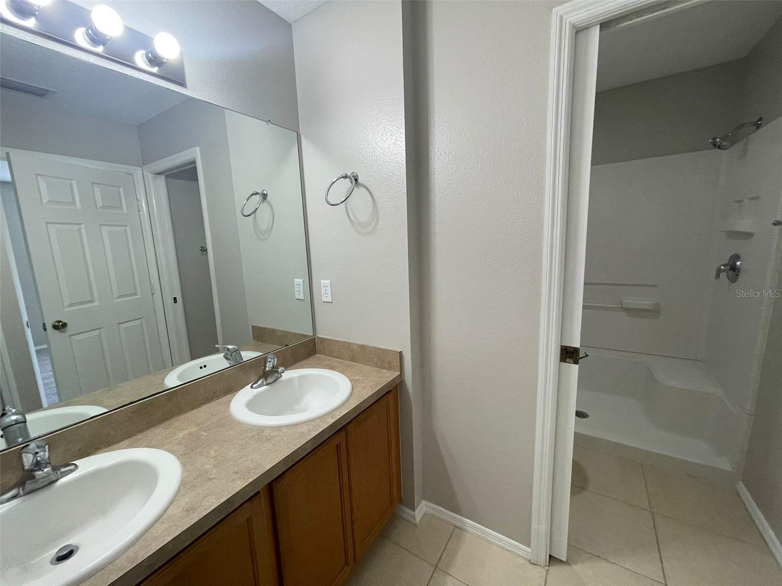 2520 EDGEWATER FALLS DR, BRANDON, FL, 33511