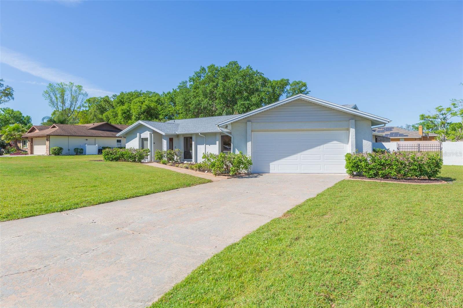 12208 ELSMERE CT, THONOTOSASSA, FL, 33592