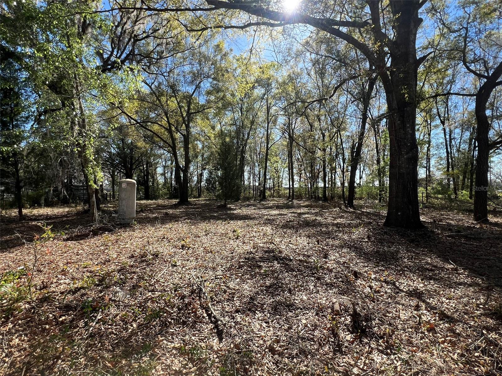 21815 SW STATE ROAD 47, FORT WHITE, FL, 32038