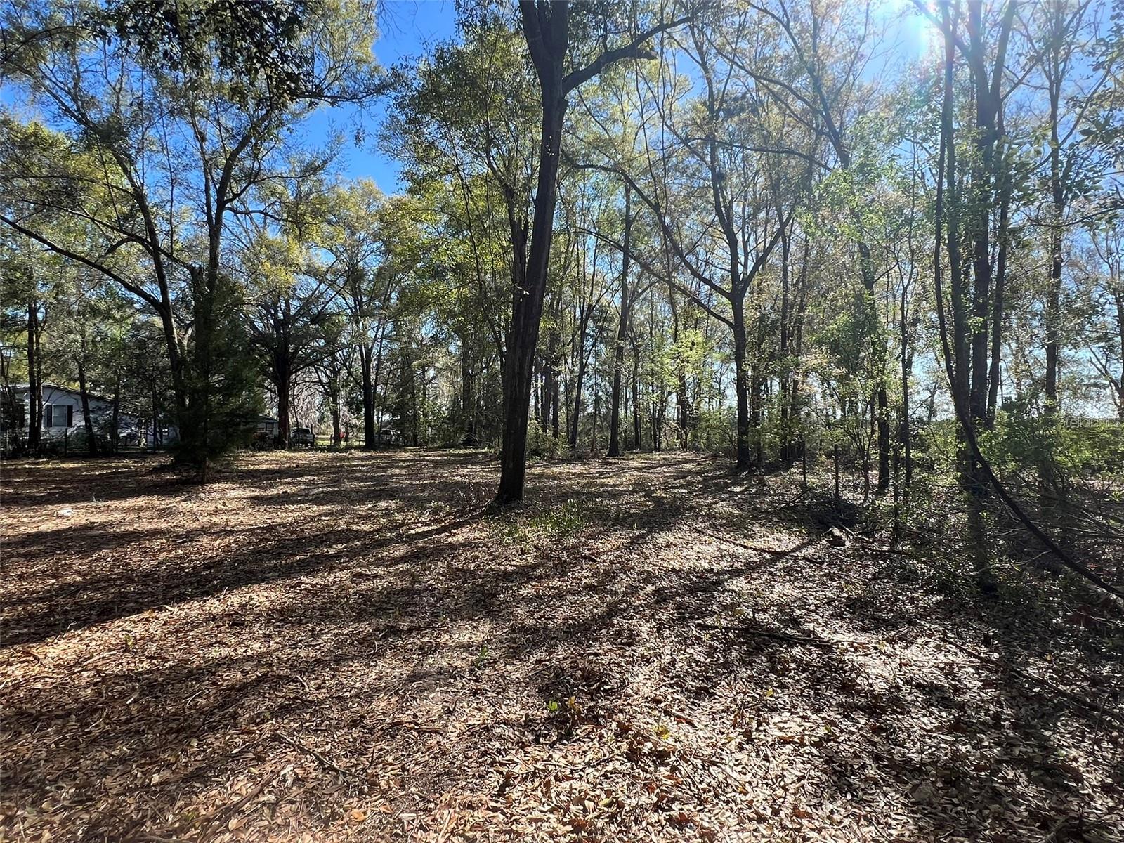 21815 SW STATE ROAD 47, FORT WHITE, FL, 32038