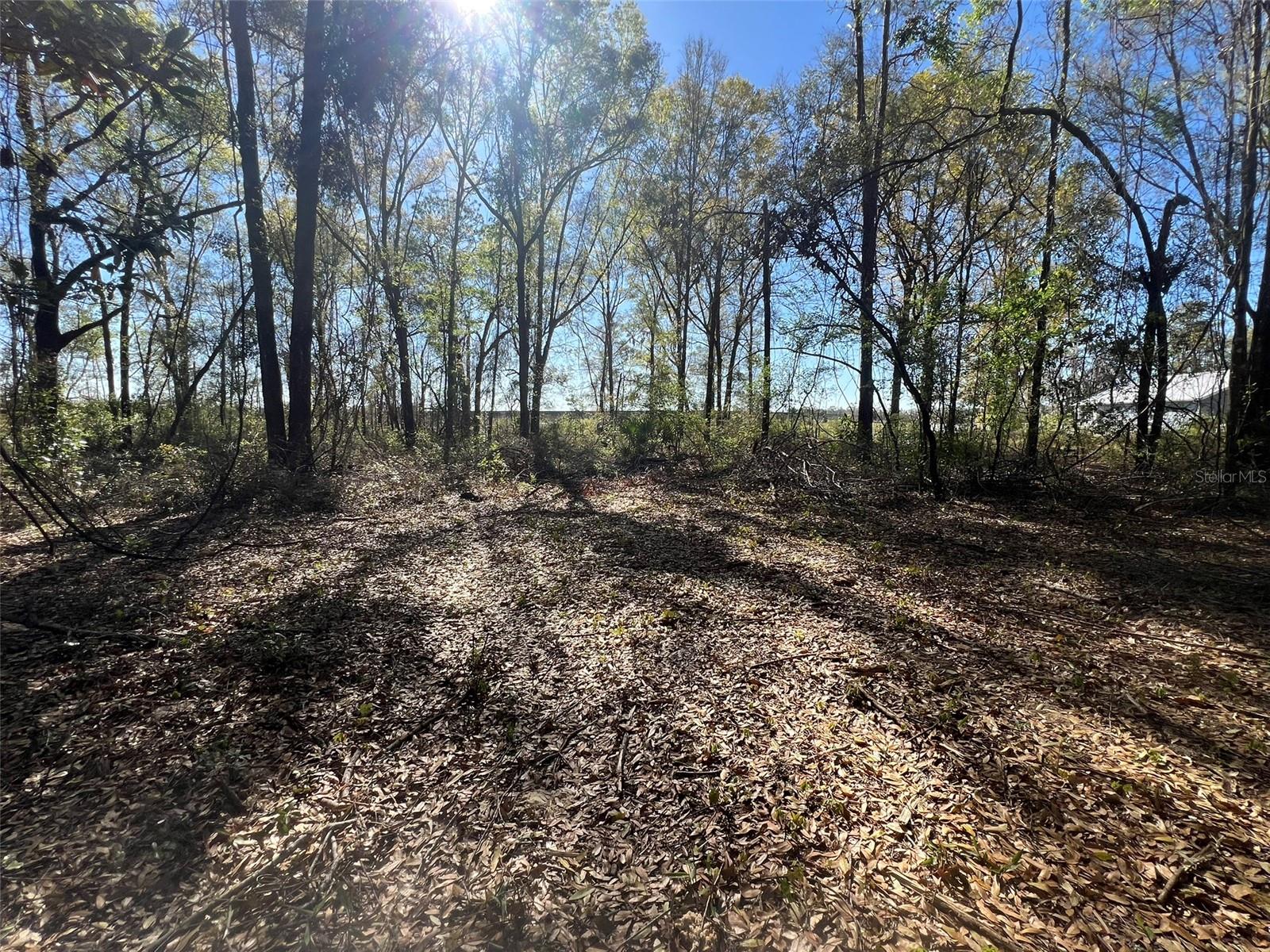 21815 SW STATE ROAD 47, FORT WHITE, FL, 32038