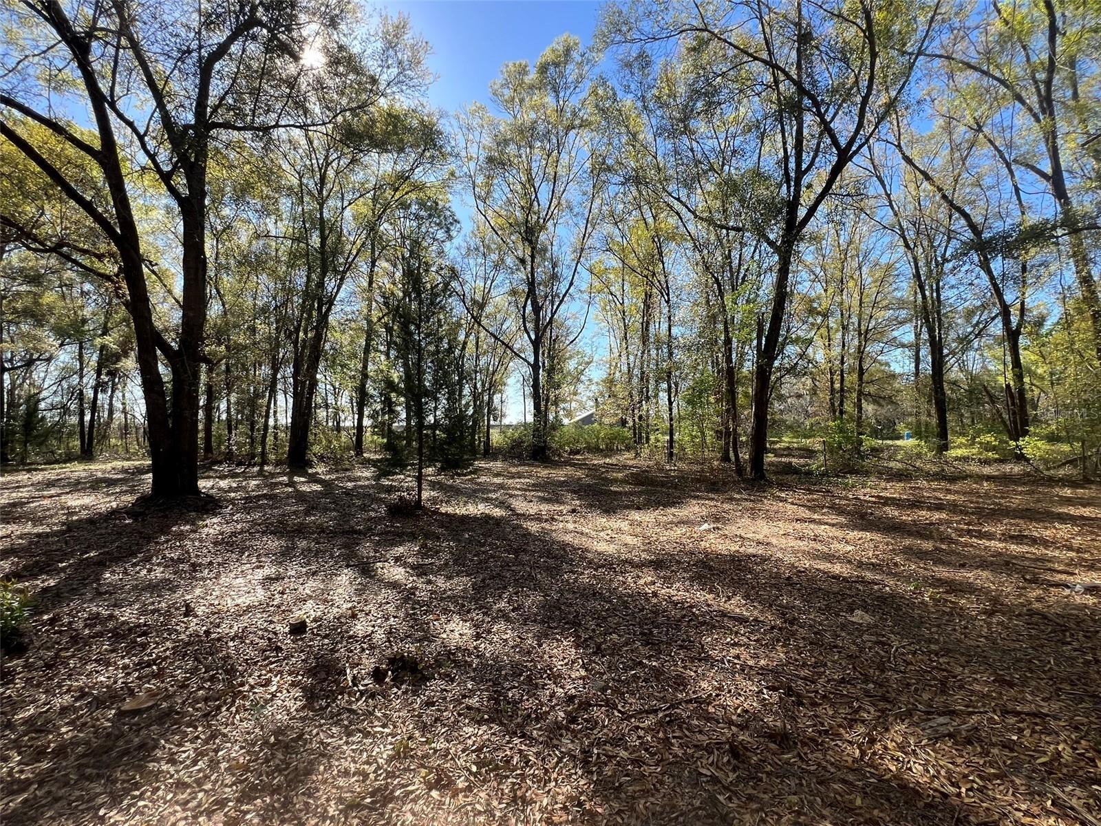 21815 SW STATE ROAD 47, FORT WHITE, FL, 32038