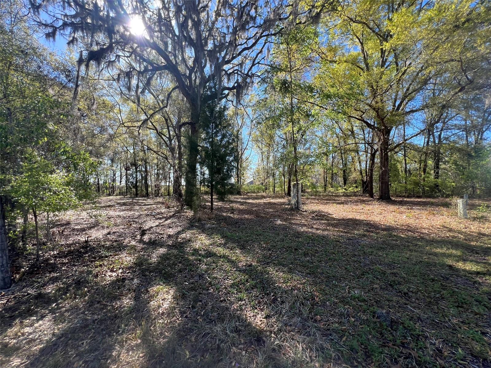 21815 SW STATE ROAD 47, FORT WHITE, FL, 32038