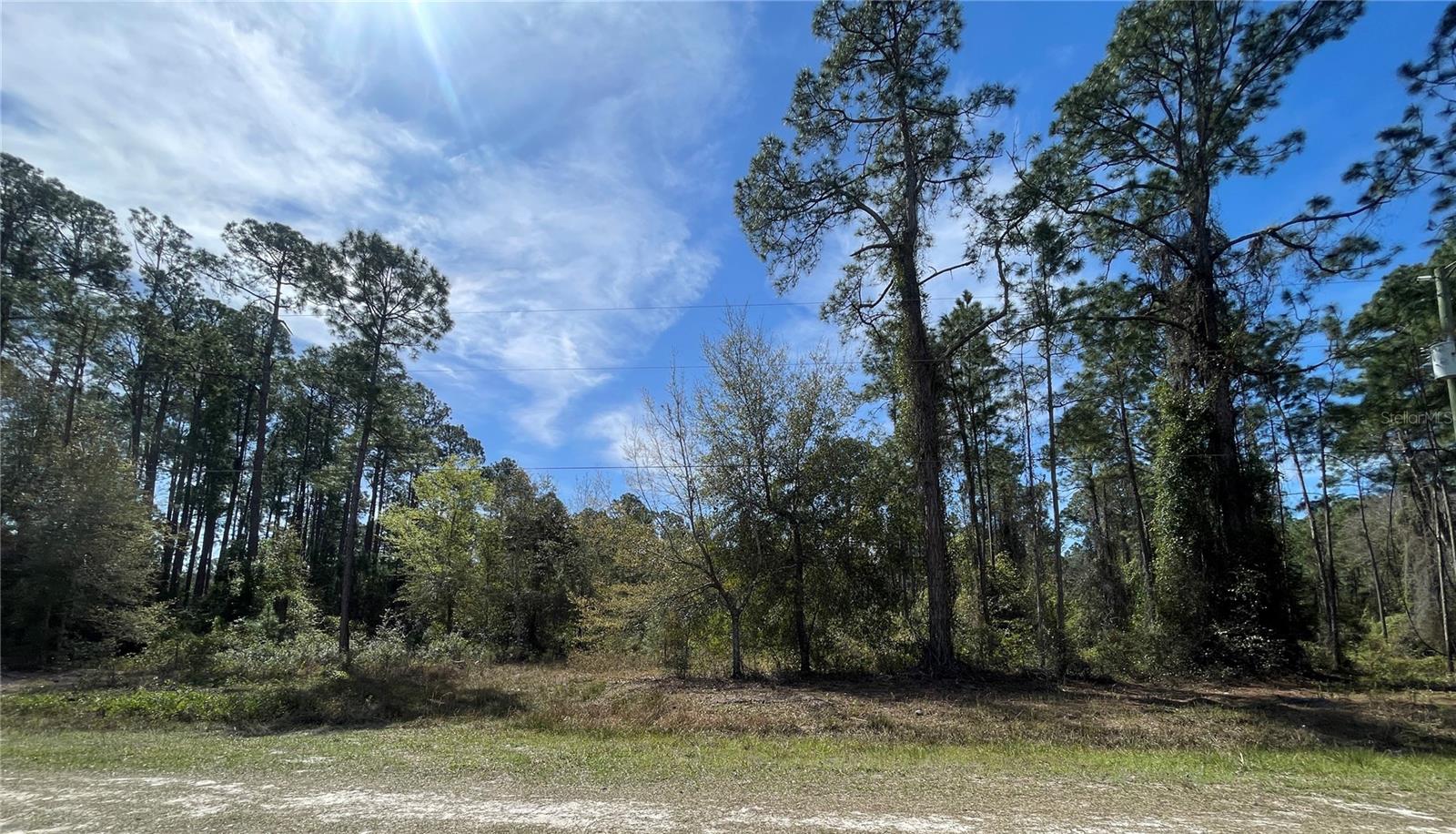 103 ROSEWOOD ST, GEORGETOWN, FL, 32139