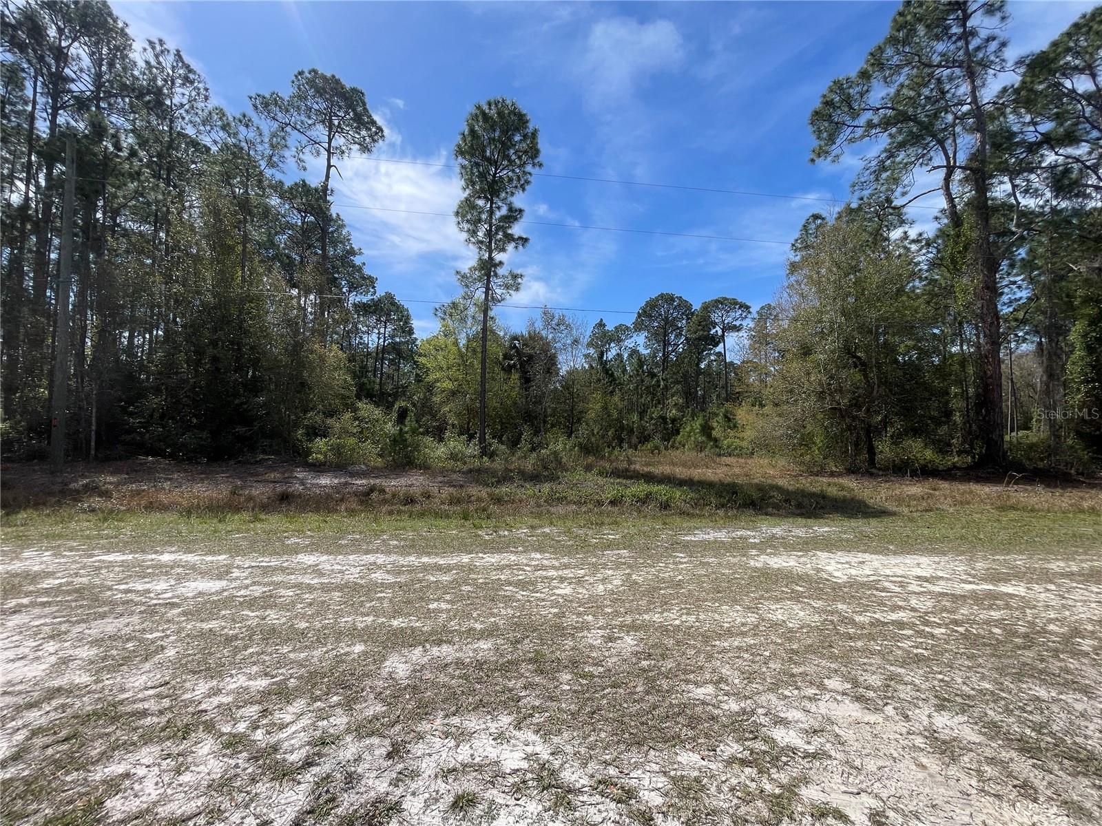 103 ROSEWOOD ST, GEORGETOWN, FL, 32139