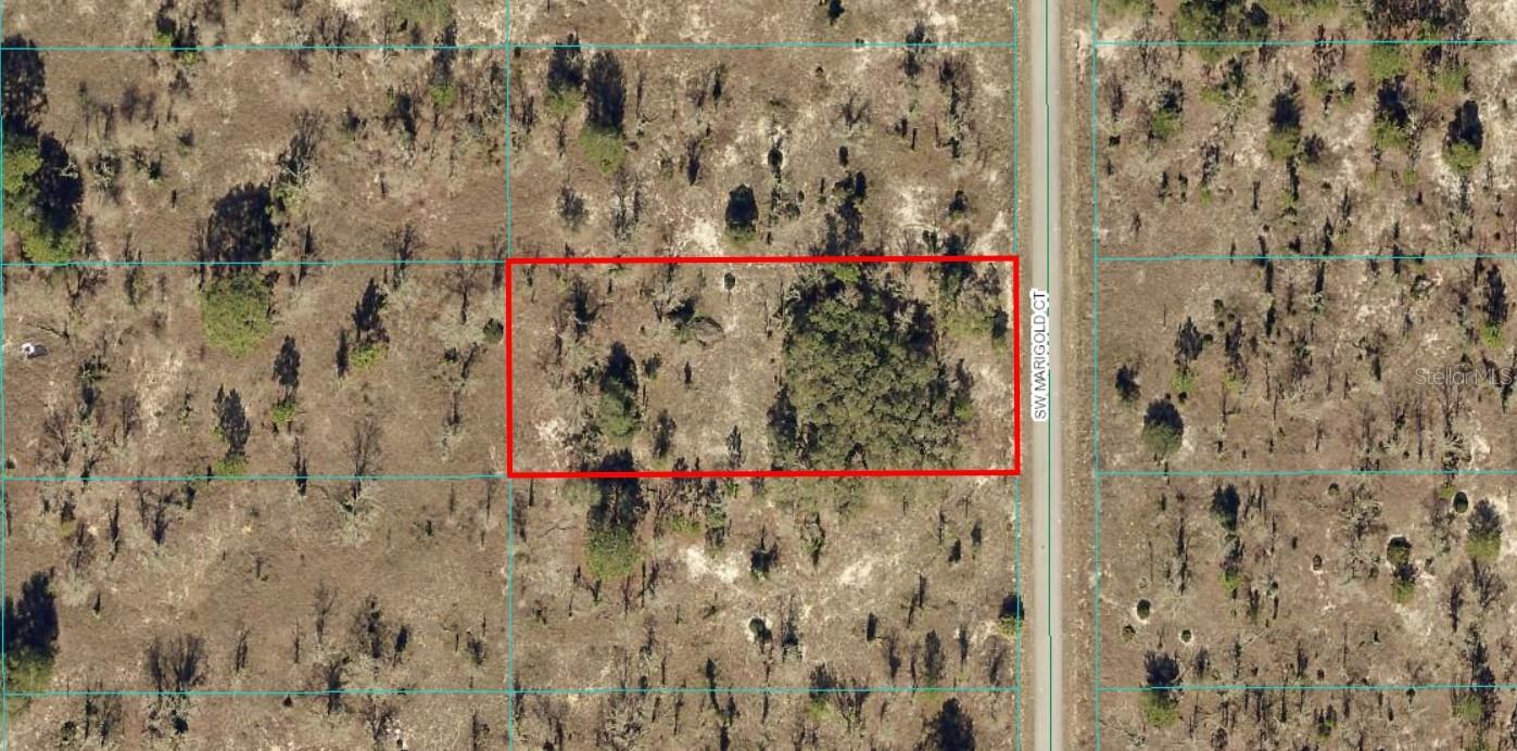 TBD LOT 6 SW MARIGOLD CT, DUNNELLON, FL, 34431