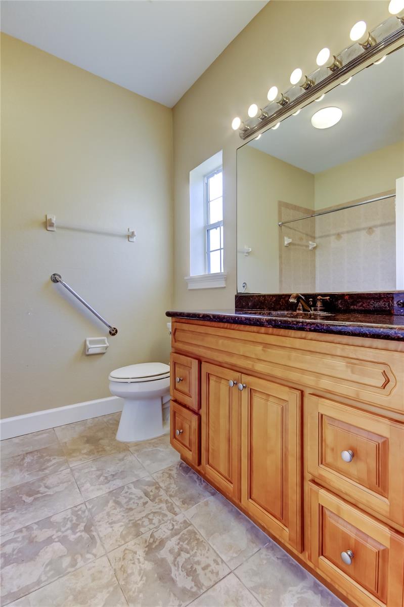 263 ALEXANDER WOODS DR, PLANT CITY, FL, 33563