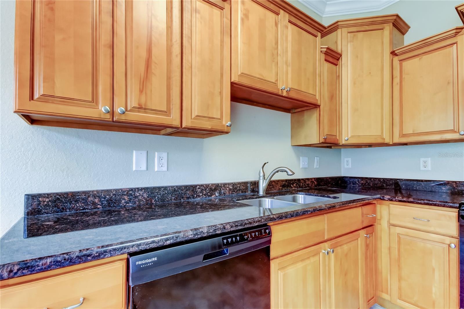 263 ALEXANDER WOODS DR, PLANT CITY, FL, 33563