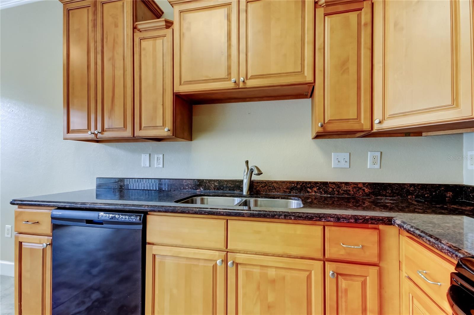 263 ALEXANDER WOODS DR, PLANT CITY, FL, 33563
