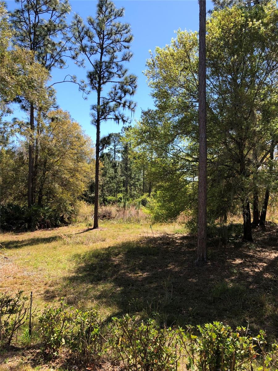 2301 AVELLINO AVE, ST CLOUD, FL, 34771