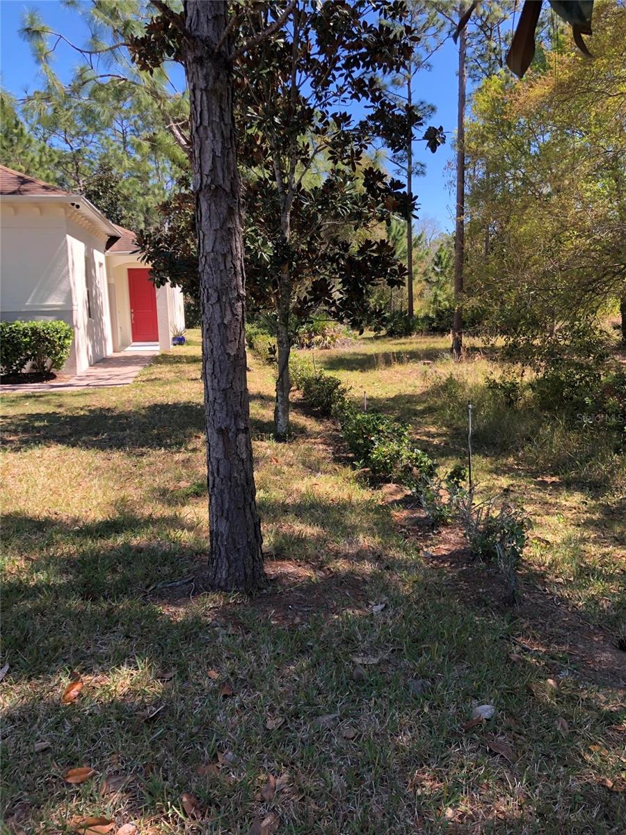 2301 AVELLINO AVE, ST CLOUD, FL, 34771