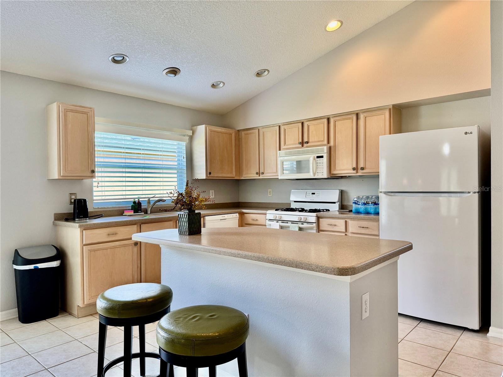 30923 BURLEIGH DR, WESLEY CHAPEL, FL, 33543
