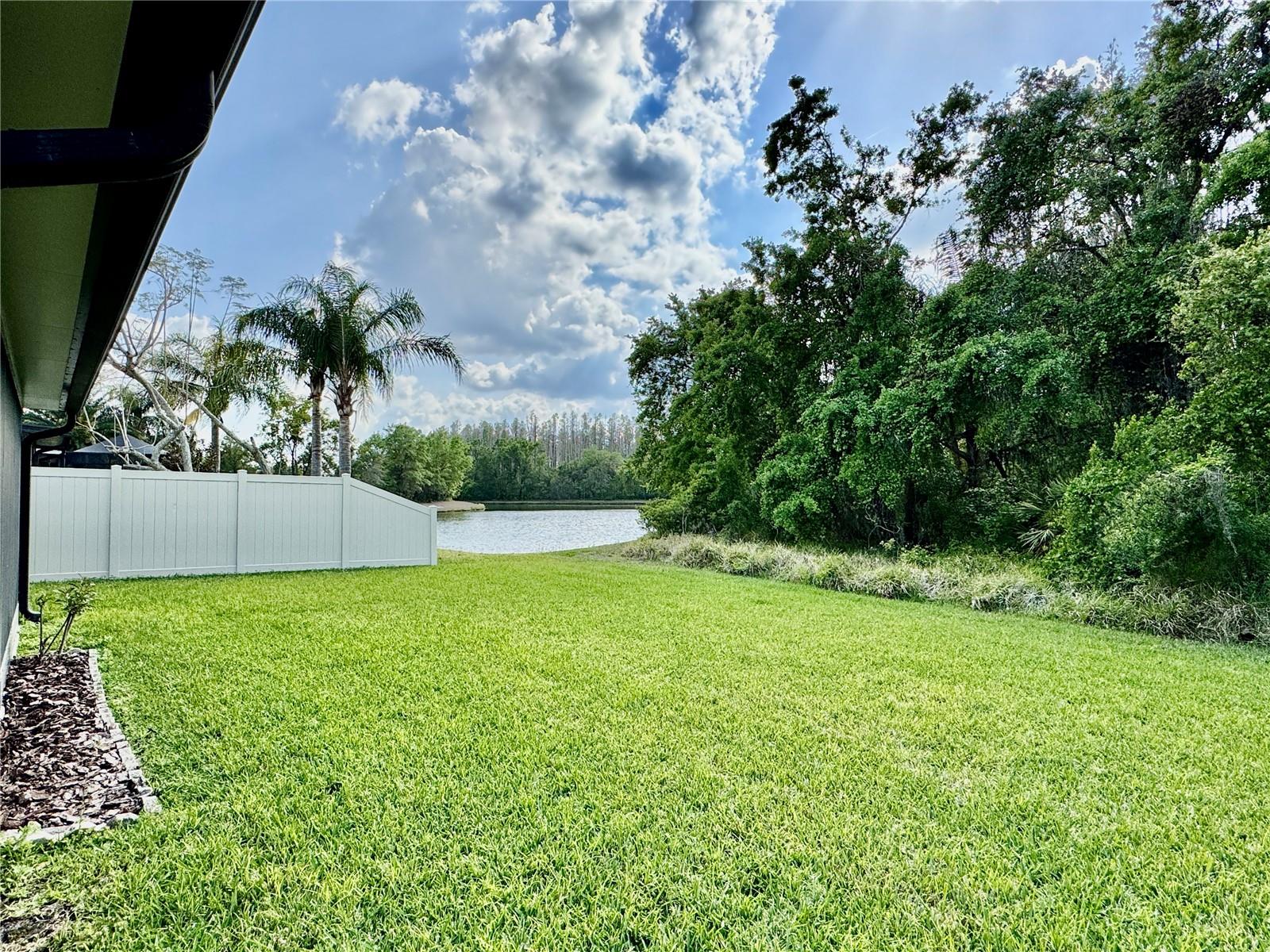 30923 BURLEIGH DR, WESLEY CHAPEL, FL, 33543